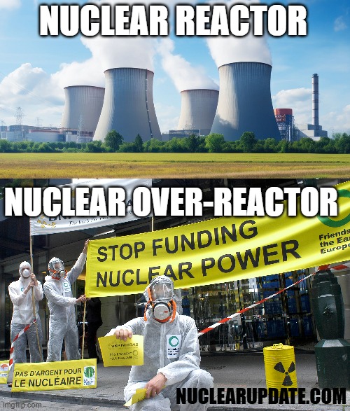 This meme is a play on words, comparing the nuclear power plant to a nuclear reactor, which is a type of power plant. The image likely shows a person in a hazmat suit, holding a sign that says "In 2-3 sentences, describe this meme for someone who cannot see it" and "Nuclear reactor". The text at the top reads "Nuclear Reactor" and at the bottom "Nuclear Over-Reactors".